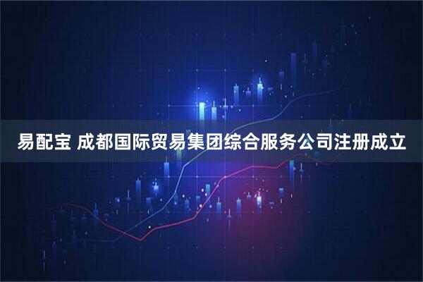 易配宝 成都国际贸易集团综合服务公司注册成立