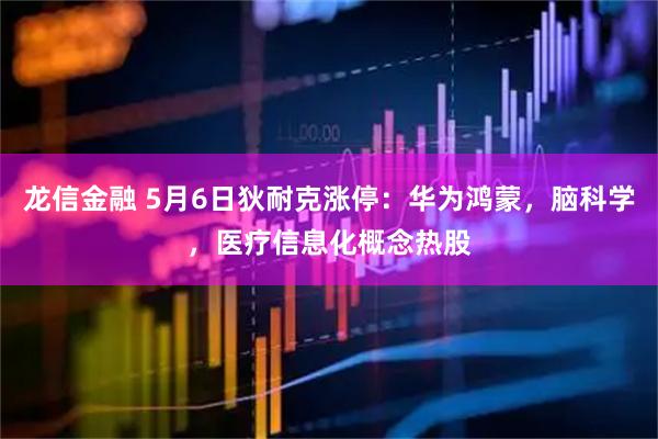 龙信金融 5月6日狄耐克涨停：华为鸿蒙，脑科学，医疗信息化概念热股