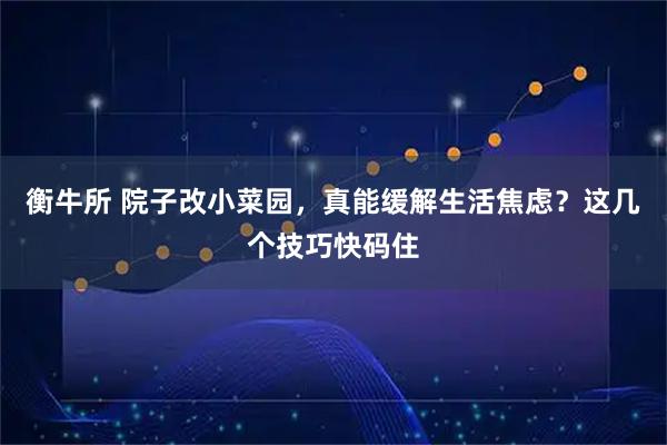 衡牛所 院子改小菜园，真能缓解生活焦虑？这几个技巧快码住