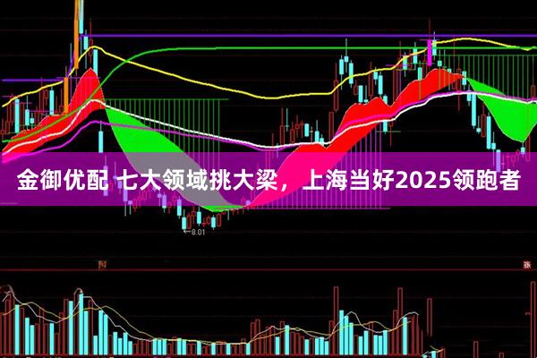 金御优配 七大领域挑大梁，上海当好2025领跑者