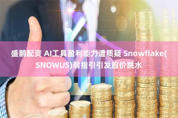 盛鹏配资 AI工具盈利能力遭质疑 Snowflake(SNOWUS)弱指引引发股价跳水